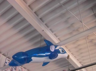 ショールームの模様替えをしました☆