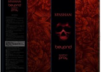 SPASHAN PRO4 beyond スパシャンプロ4 ビヨンド